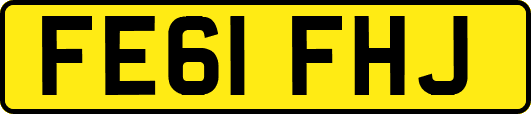 FE61FHJ