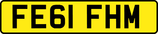 FE61FHM