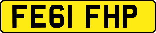 FE61FHP