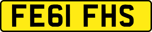 FE61FHS
