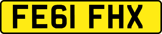 FE61FHX