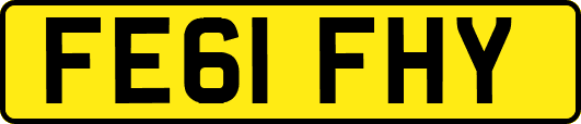 FE61FHY