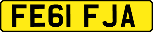 FE61FJA