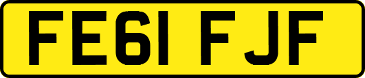FE61FJF