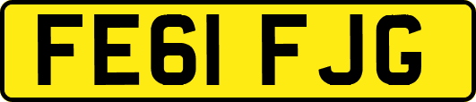 FE61FJG