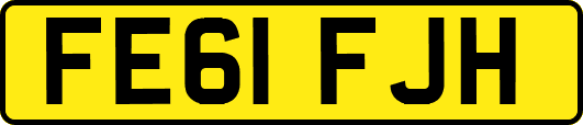 FE61FJH