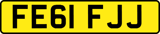 FE61FJJ