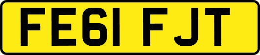 FE61FJT