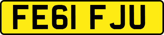 FE61FJU