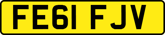 FE61FJV