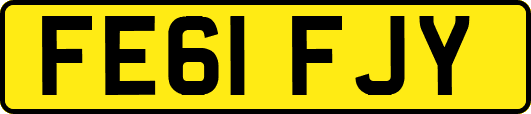 FE61FJY