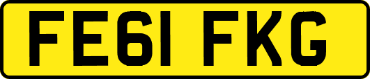 FE61FKG