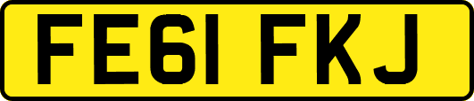 FE61FKJ