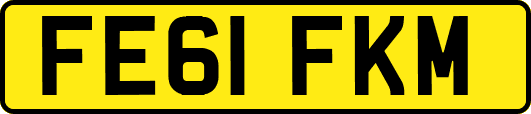 FE61FKM