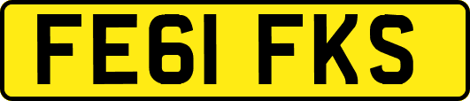 FE61FKS