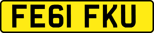 FE61FKU