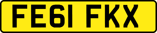 FE61FKX