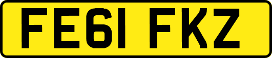 FE61FKZ