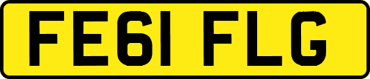 FE61FLG