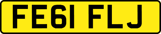 FE61FLJ