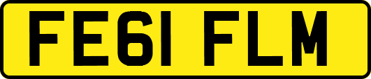 FE61FLM