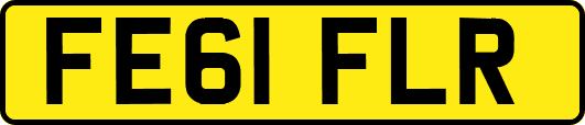FE61FLR