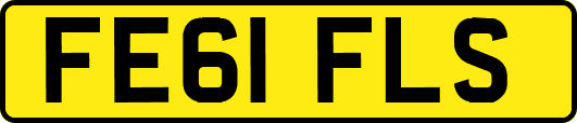 FE61FLS