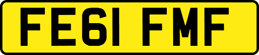 FE61FMF