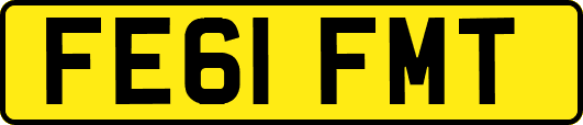 FE61FMT