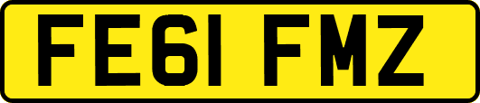 FE61FMZ