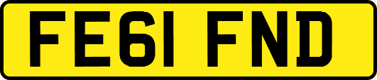 FE61FND