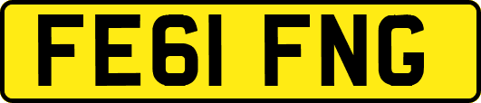 FE61FNG
