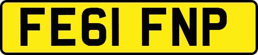 FE61FNP