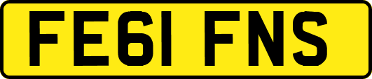 FE61FNS