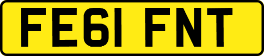 FE61FNT