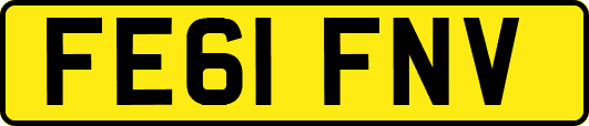 FE61FNV