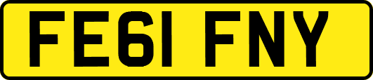 FE61FNY