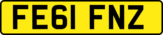 FE61FNZ