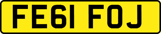 FE61FOJ