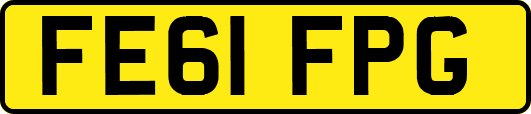 FE61FPG