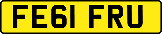 FE61FRU