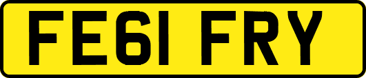 FE61FRY