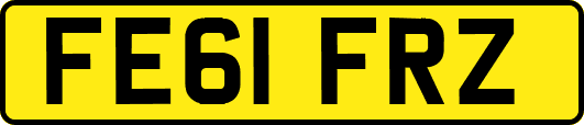 FE61FRZ
