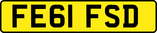 FE61FSD
