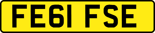 FE61FSE