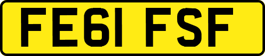 FE61FSF