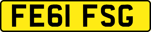 FE61FSG
