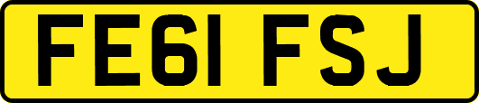 FE61FSJ