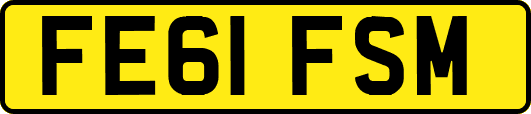 FE61FSM