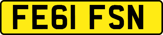 FE61FSN